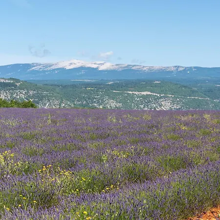 Villa Les Demeures Du Ventoux *